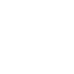 LineupMan Volleyball Logo